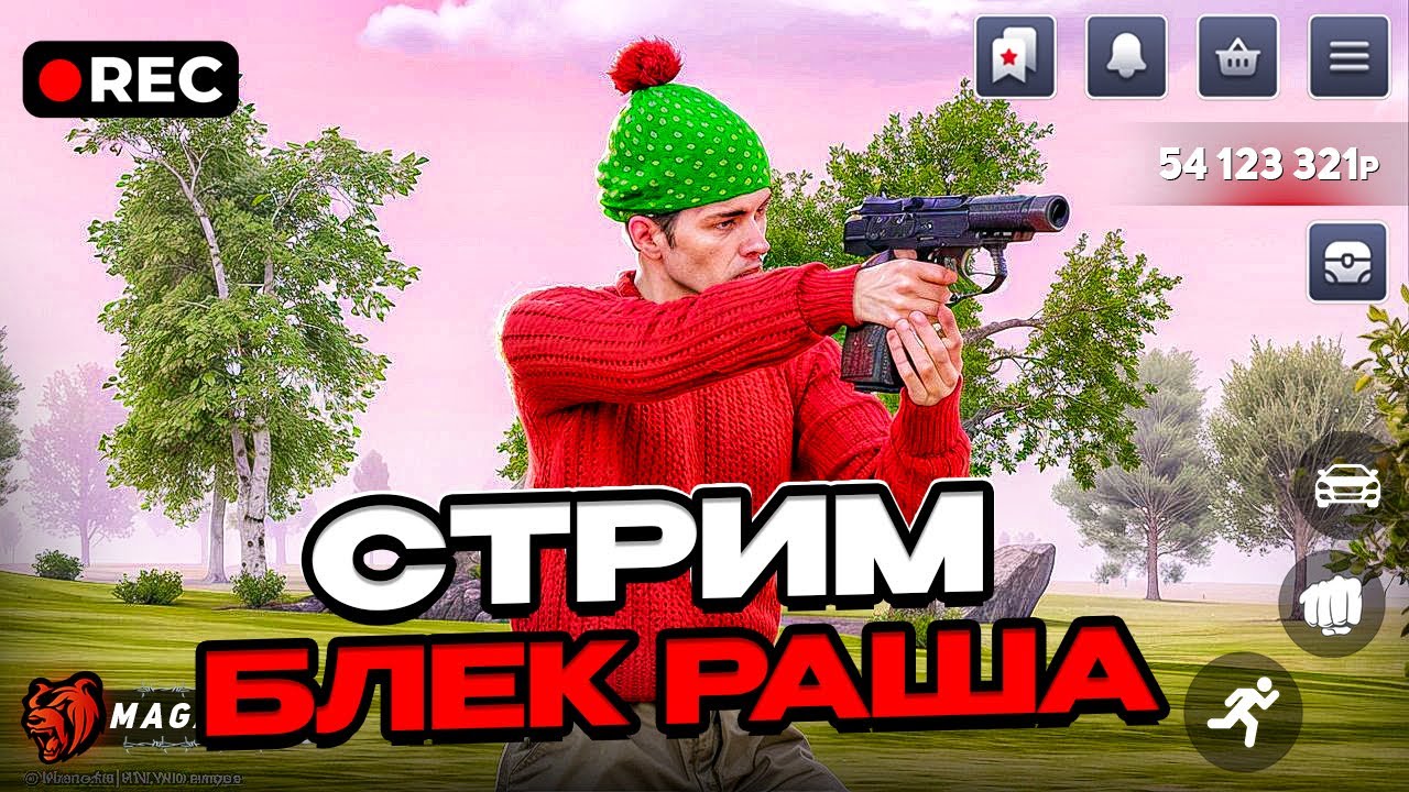 ⭐СТРИМ ! - РАЗВИВАЮСЬ на 88 СЕРВЕРЕ на БЛЕК РАША!