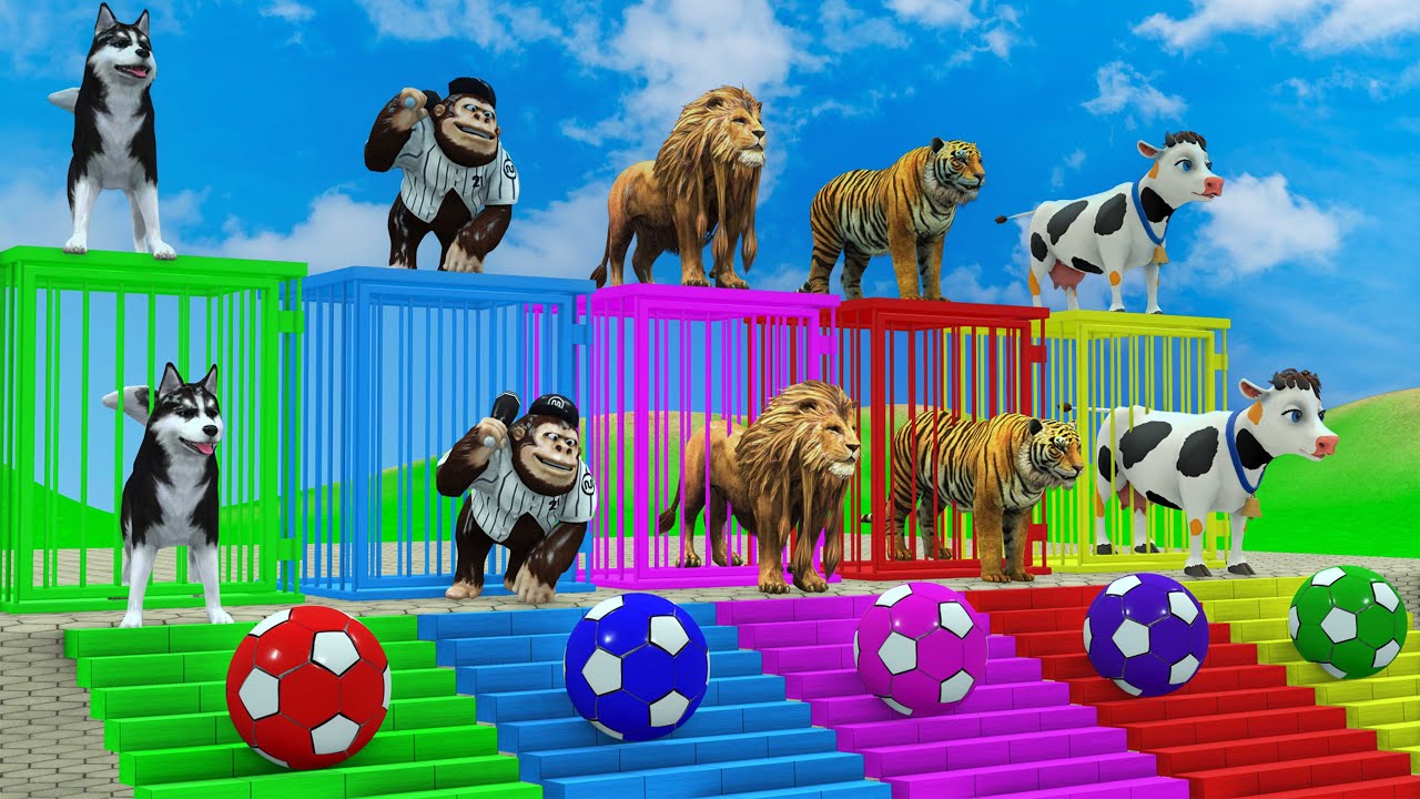 Long Slide Game With Cow Elephant Gorilla Hippopotamus Tiger - 3d Animal Game - Funny 3d Animals