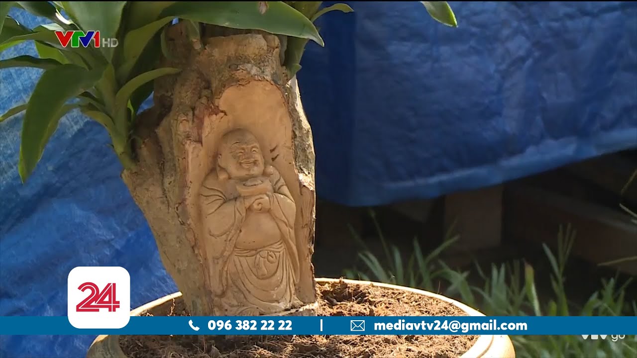 Khắc tượng trên cây sống thu tiền triệu dịp Tết nguyên đán| VTV24