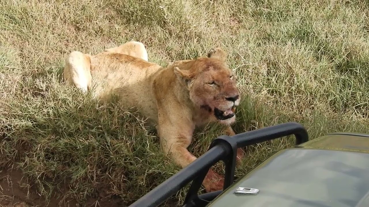Tanzania 2023