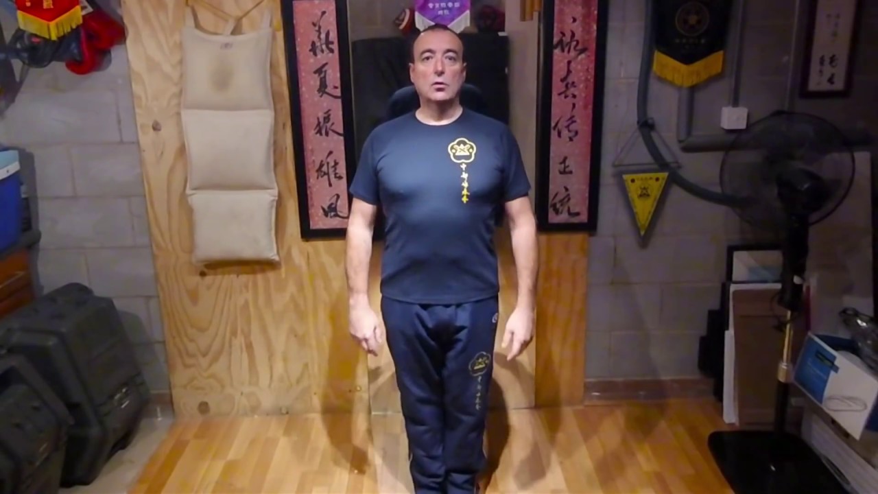 Simply Wing Chun Kuen - Siu Nim Tao part 1, 2017