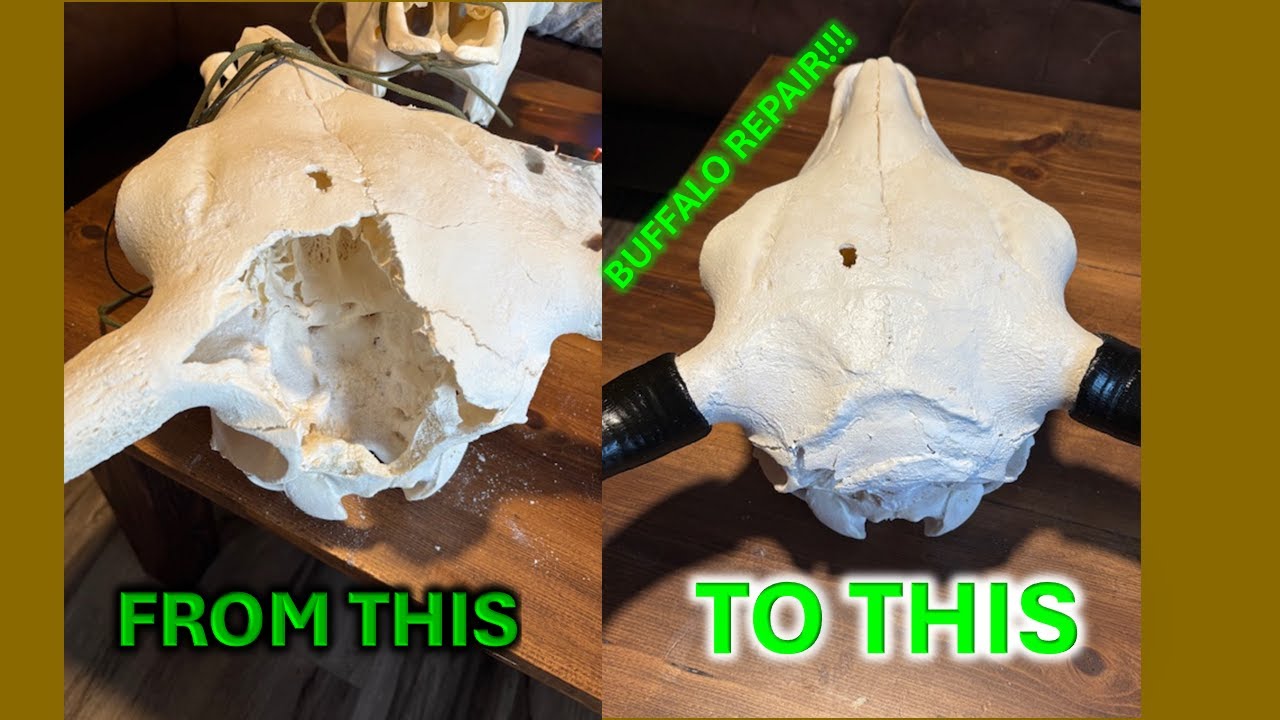 BUFFALO EUROPEAN MOUNT REPAIR
