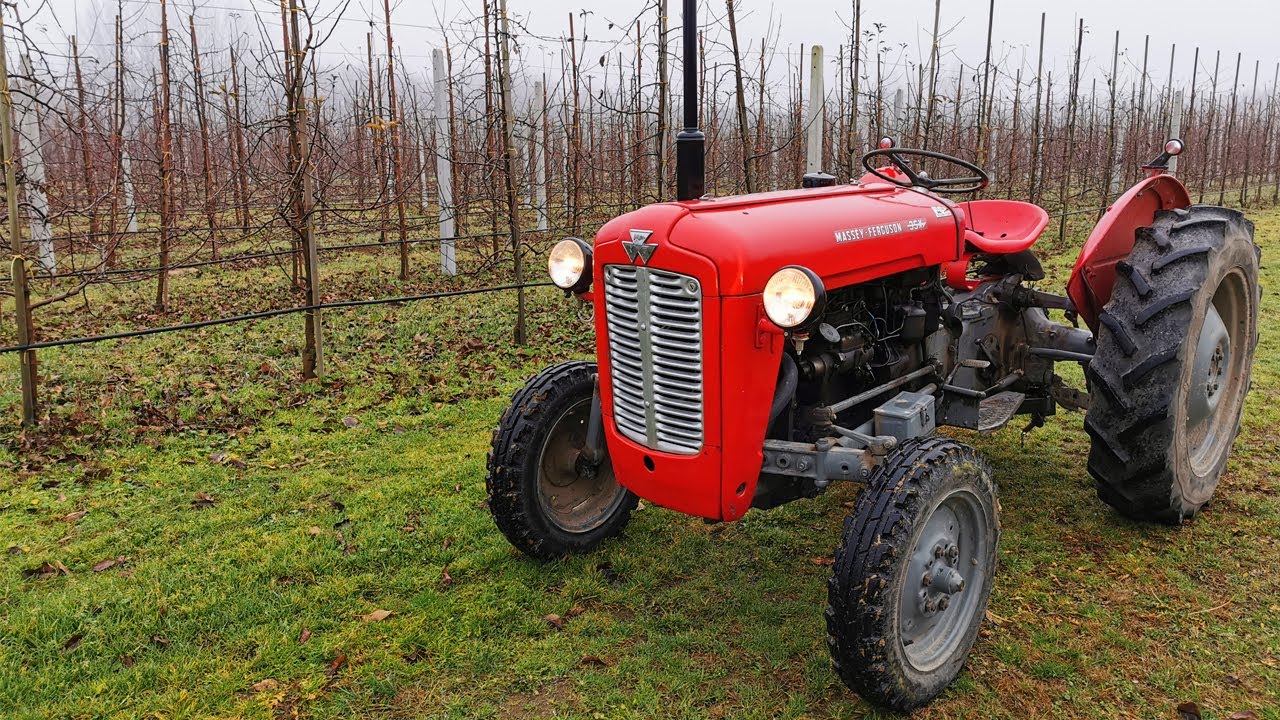 Massey Ferguson FE-35 z 1956 roku stale pracuje, obecnie w sadownictwie