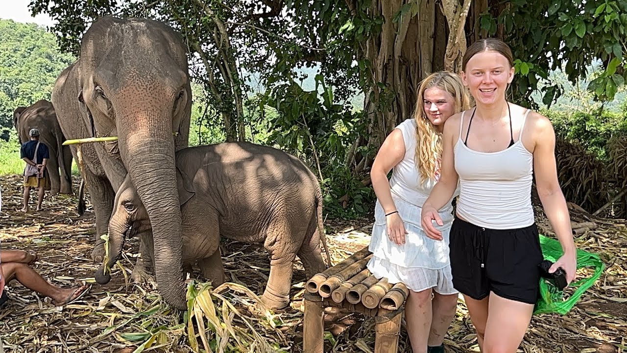 Bader og fodrer elefanter i Thailand