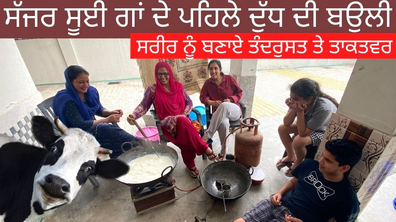 Cow First Healthy Milk After Giving Birth | Boli Recipe Village Food | Colostrum Milk Recipe