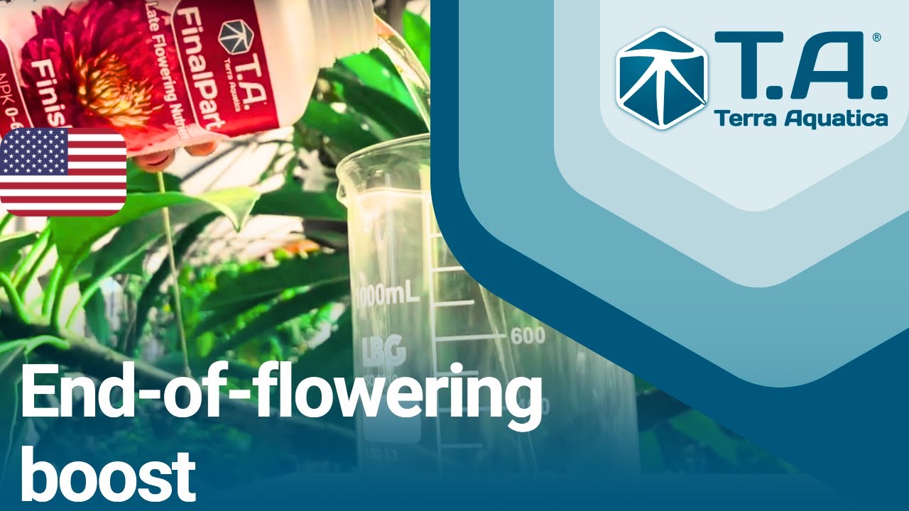 End-of-flowering boost : FinalPart by Terra Aquatica