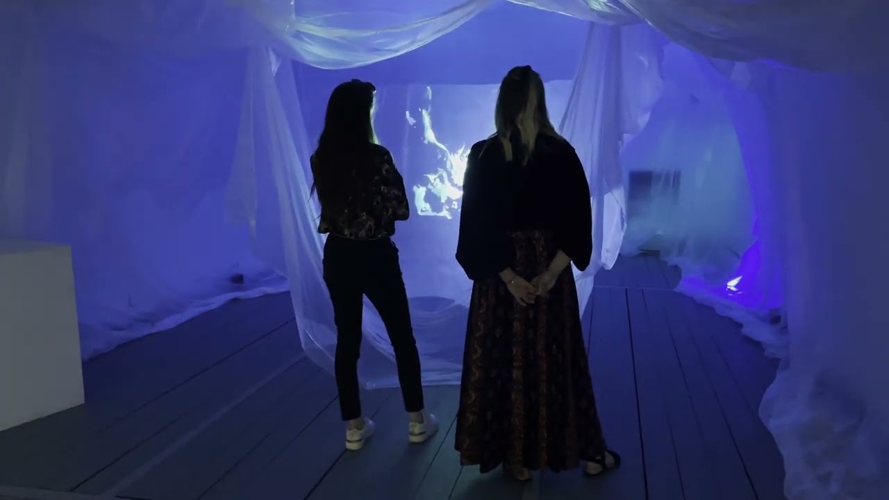 Submerged Reverie - Kunstverein W&uuml;rzburg Arte NOAH 2025