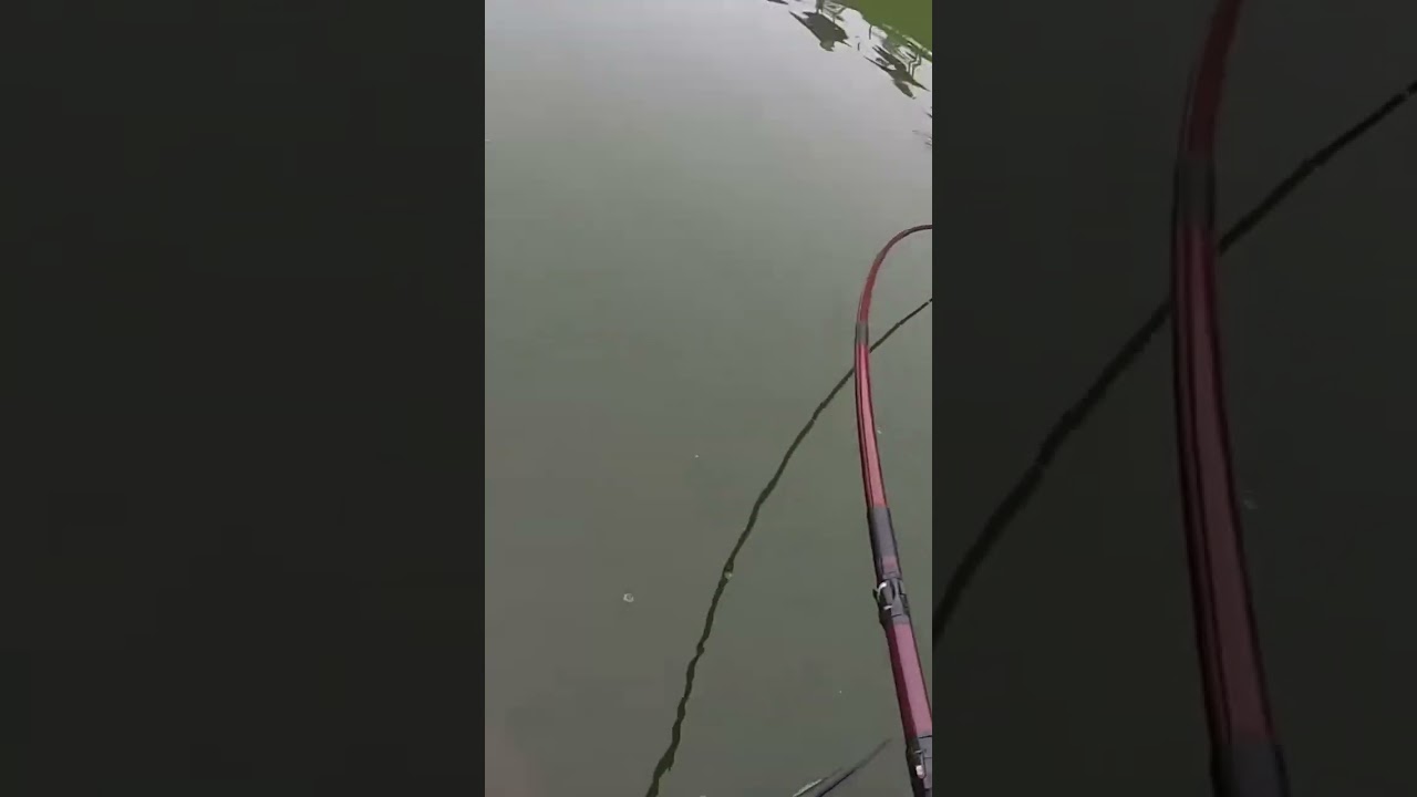 Pescando tamba no var&atilde;o.