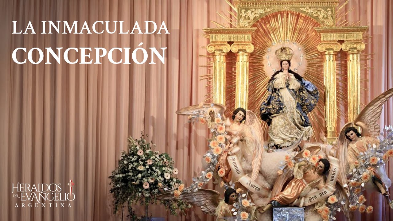 La Inmaculada Concepción l Heraldos del Evangelio de Argentina