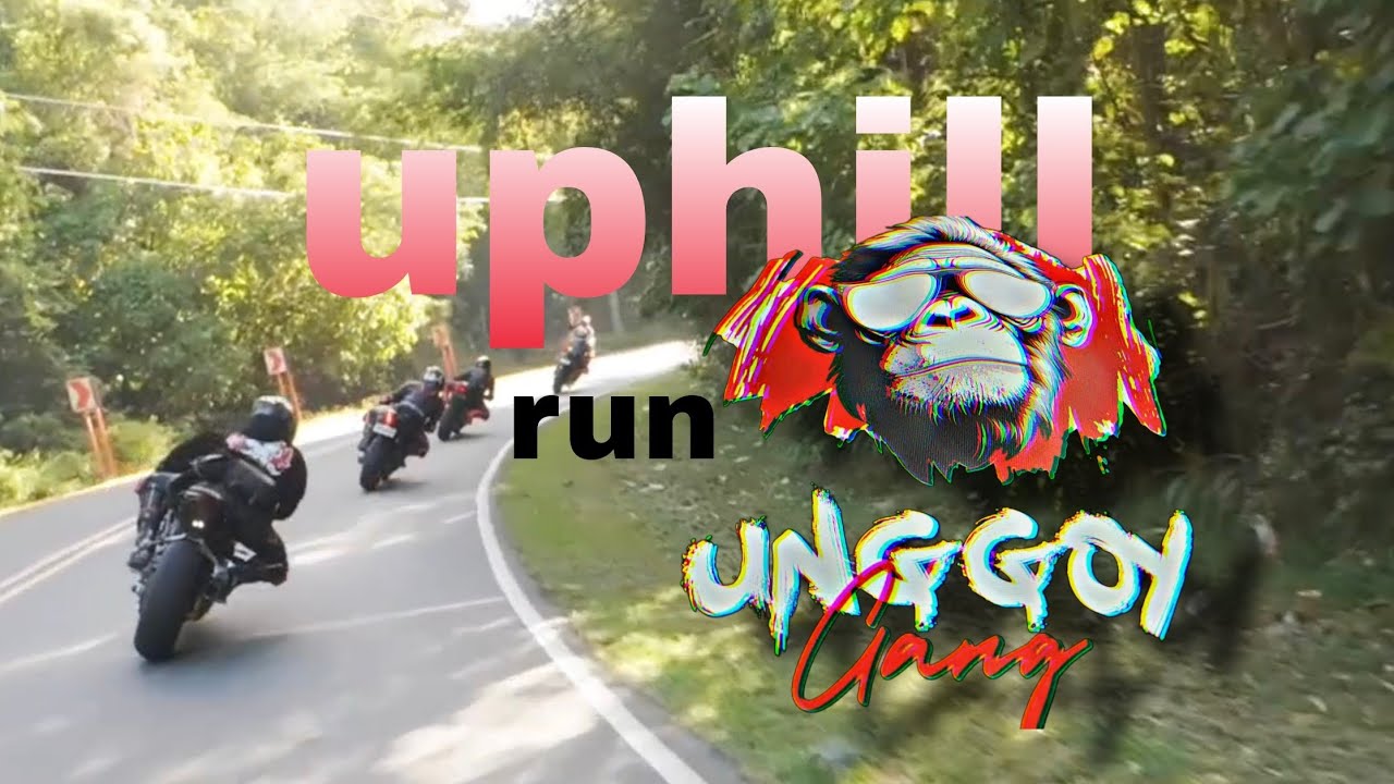 Uphill breakfast run | ZX10R | ZX6R | R7 | STREET TRIPLE | SPEED TRIPLE | XSR900 | AEROX | F900 |