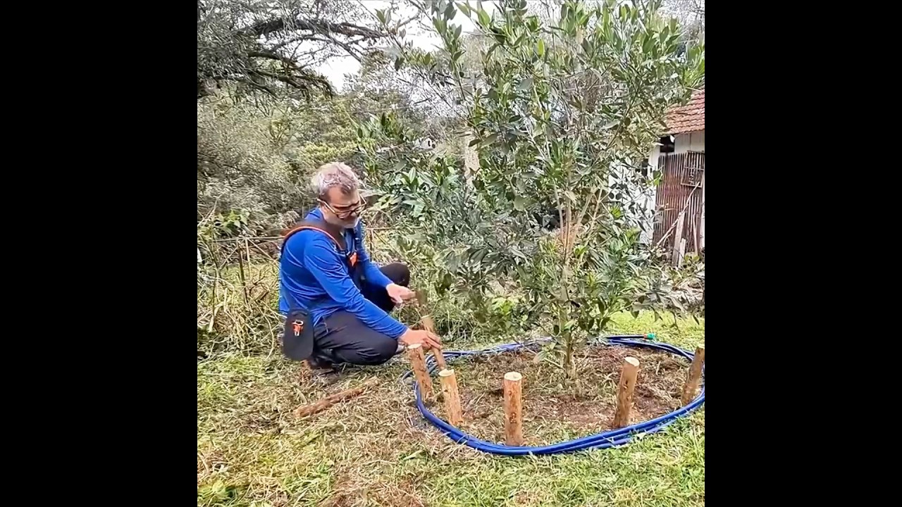 Cerca Natural com Galhos Secos 🌿 | Decora&ccedil;&atilde;o de Jardim Sustent&aacute;vel
