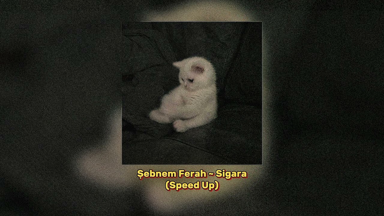Şebnem Ferah - Sigara | Speed Up
