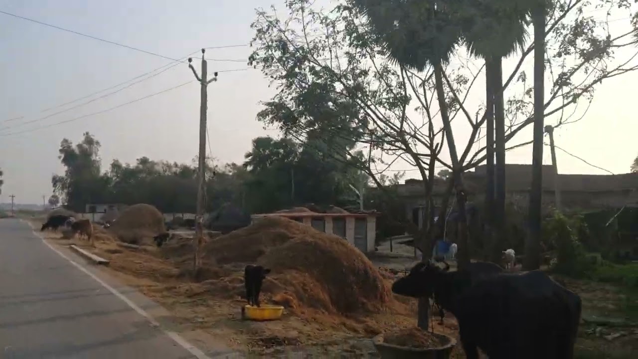 Village 