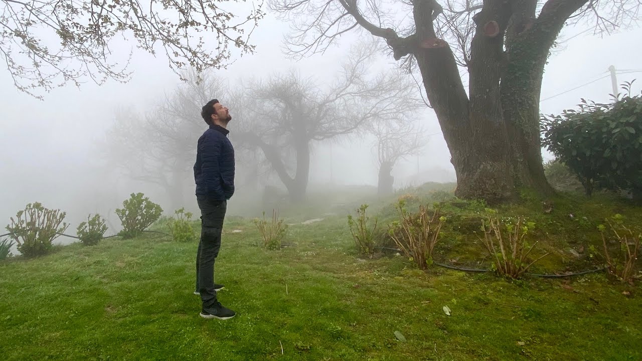In the clouds (vlog)