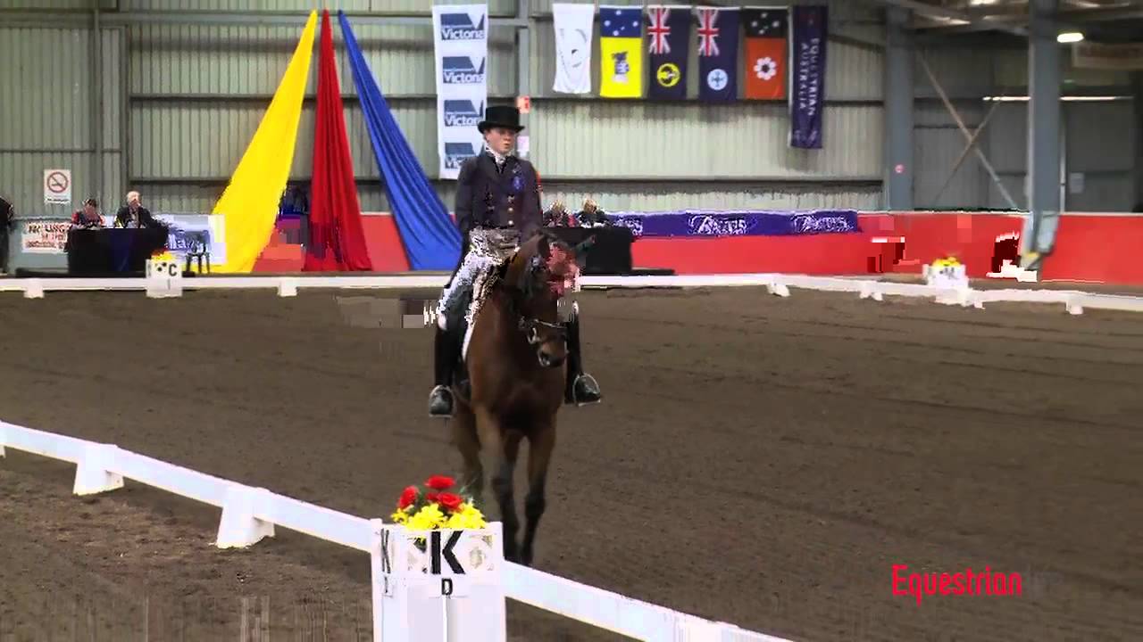 Crystal Conning and Marcus Aurelius CCI 3* Dressage at the M3DE
