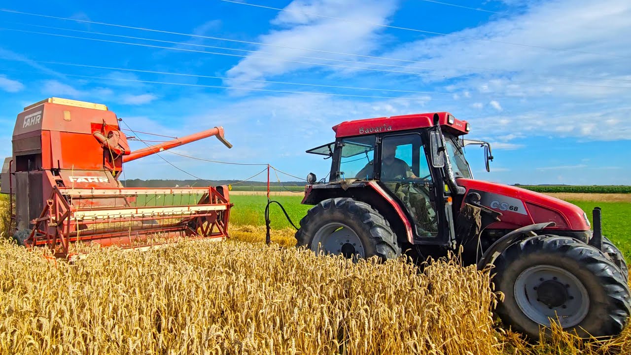 Case IH CS 68 mit FAHR M66TS Mähdrescher wie in alten Zeiten beim Weizen dreschen 2024