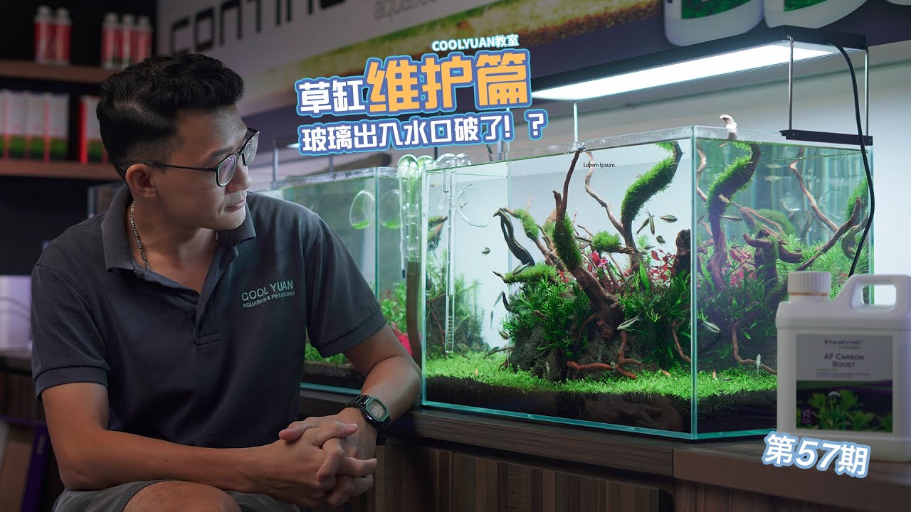 草缸维护篇玻璃出入水口破了 ep57