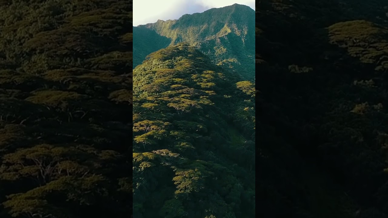 塔希提岛_景点、声音和趣闻！ #热门旅游  #热门旅游 #奇妙的地方 #旅行 #奇妙的地方 #旅行  #ワールド探訪