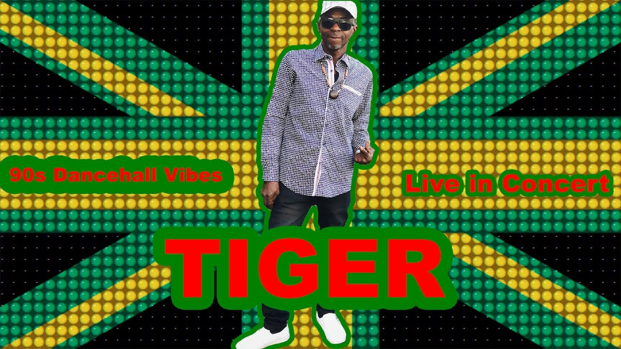 BBZ 2XTRA: TIGER a the Hummingbird Dale End Birmingham backed by the Asetaman Band.