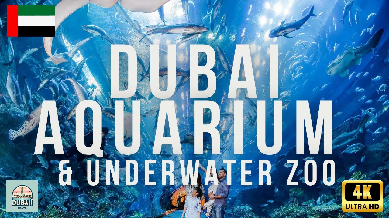 Dubai Aquarium & Underwater Zoo Dubai 🇦🇪 4K