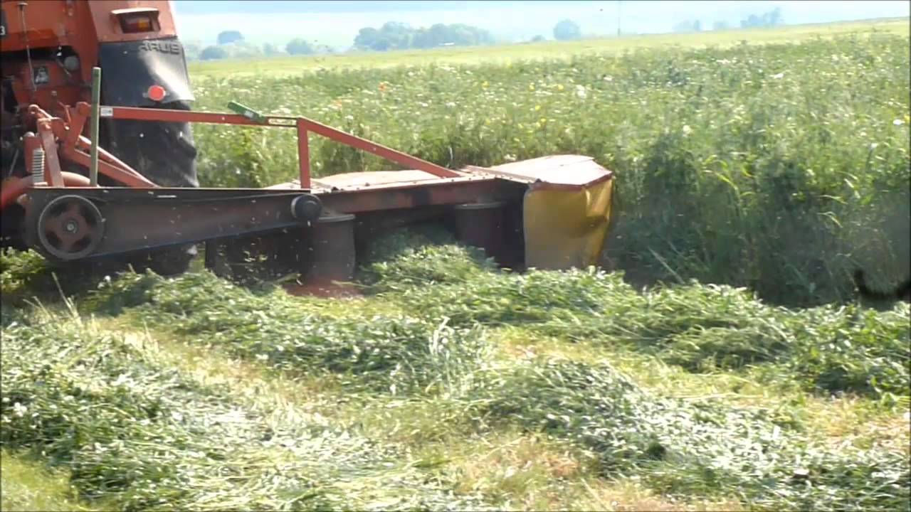 Koszenie łąki 2015
