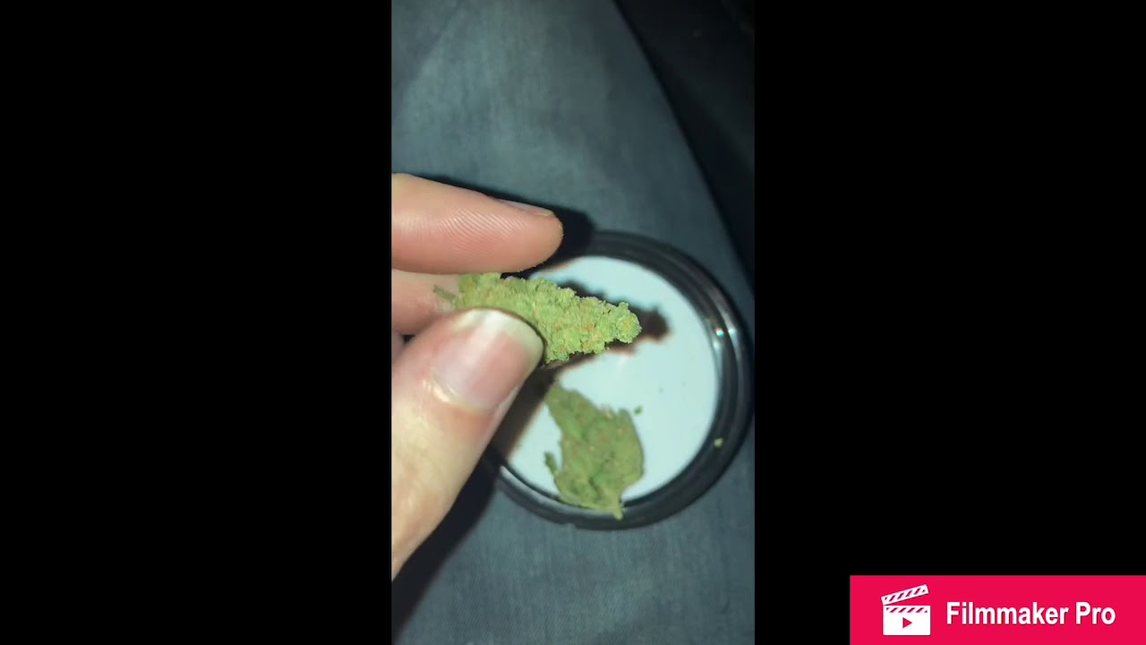 Jack Herer from Rythm GTI Strain Review