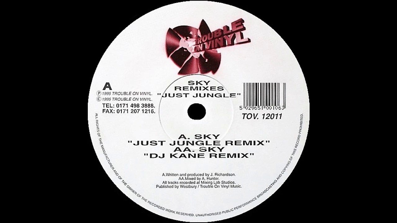 Just Jungle - Sky (Just Jungle Remix)
