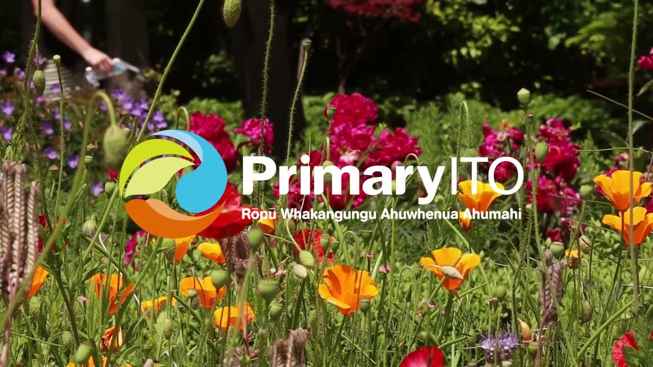 Value Of Training | Christchurch Botanic Gardens New Zealand