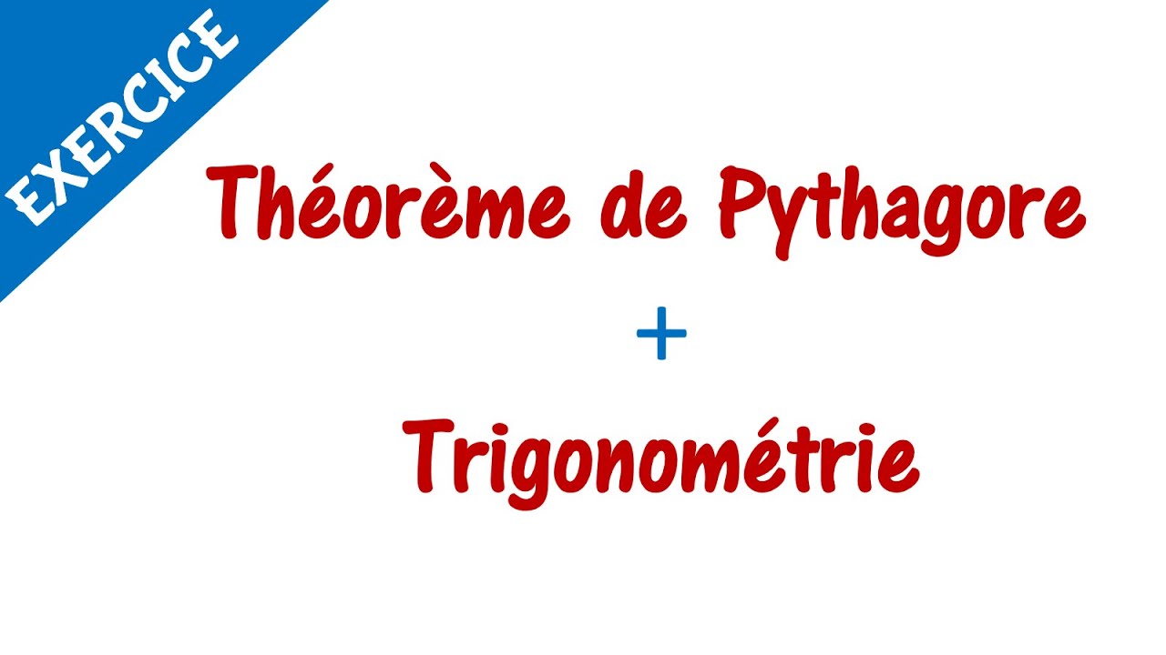 EXERCICE 1 : Théorème de Pythagore + Trigonométrie ► 3ÈME ANNÉE COLLÈGE - 3APIC  BIOF