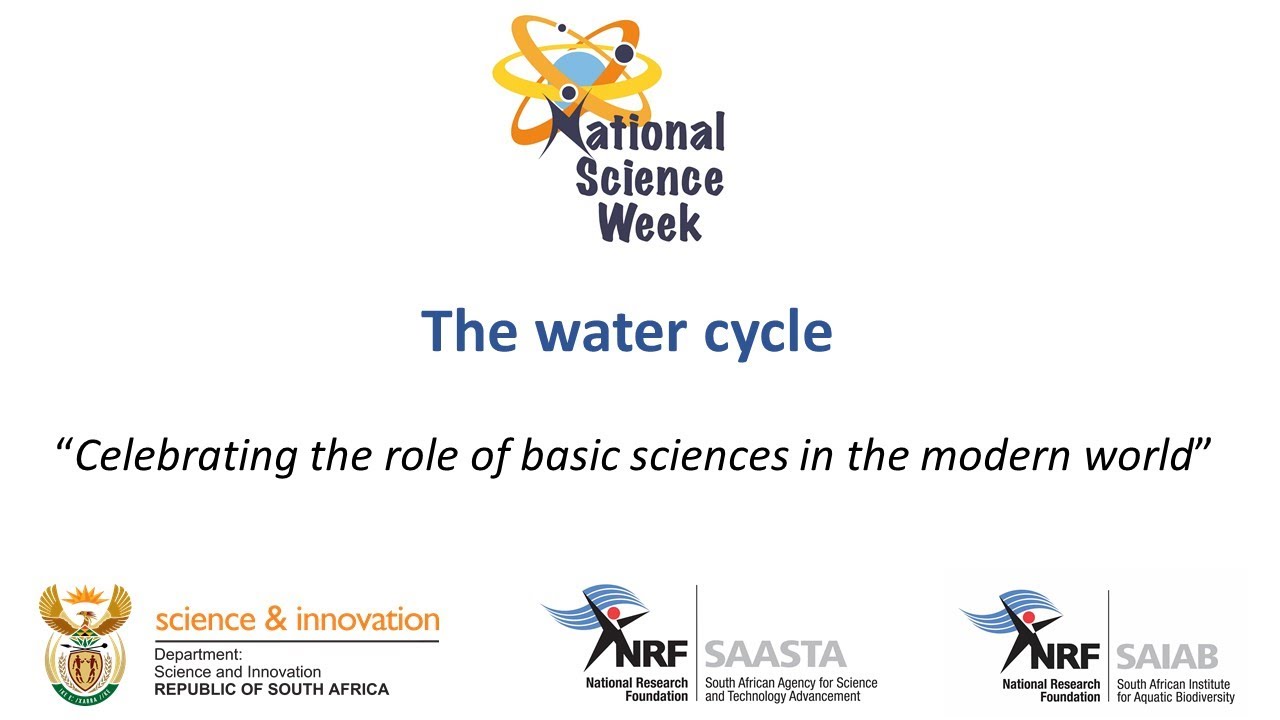 The Water Cycle