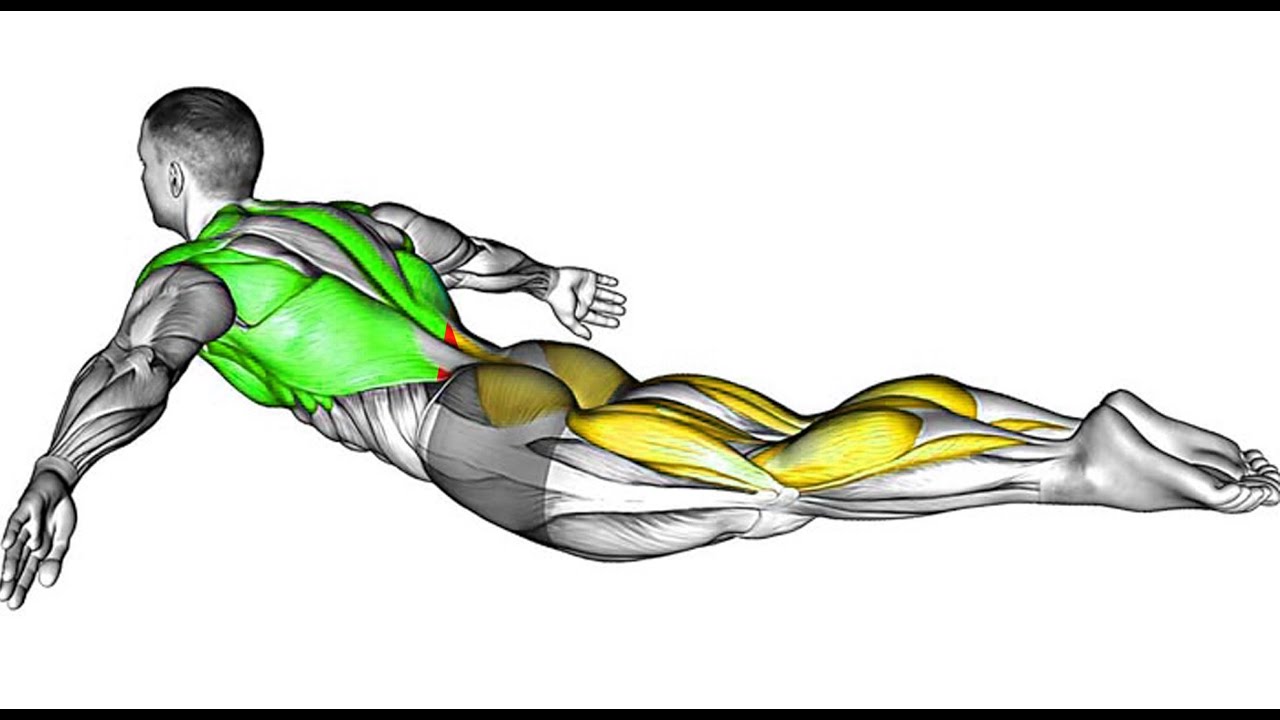 Quick & Effective Kegel Workout to Improve Men&rsquo;s Health