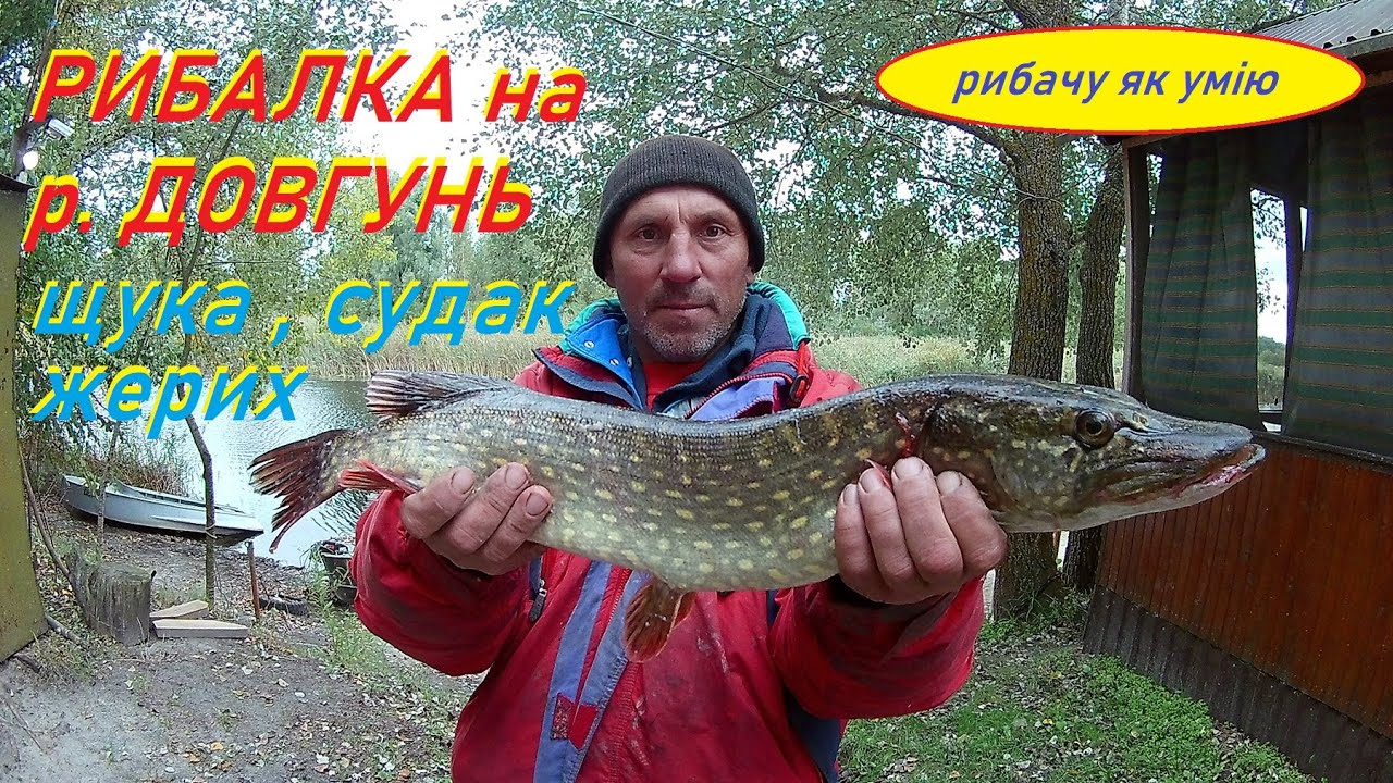 Рибалка на р.Довгунь. Щука ,судак,жерих.