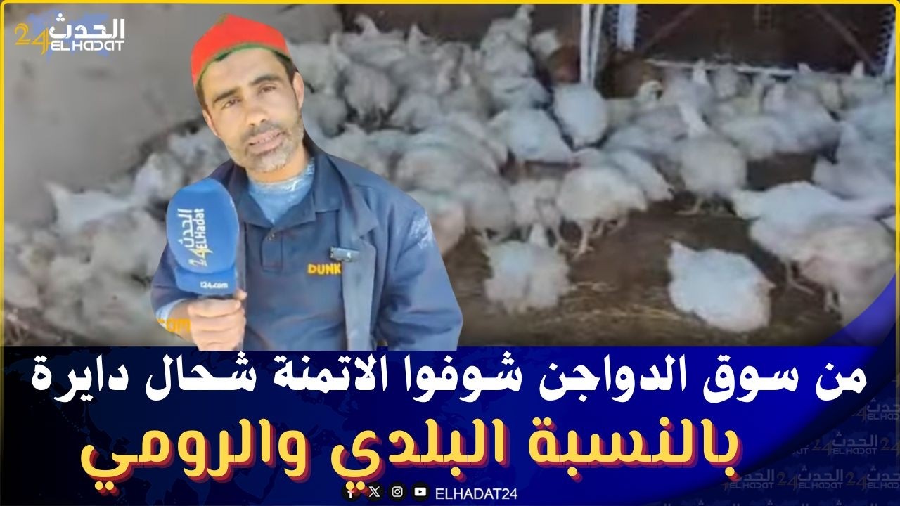 من سوق الدواجن شوفوا الاتمنة شحال دايرة بالنسبة البلدي والرومي