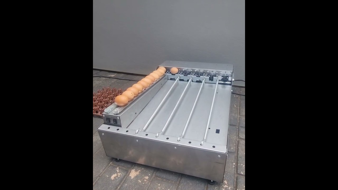 EGM750 Egg grader