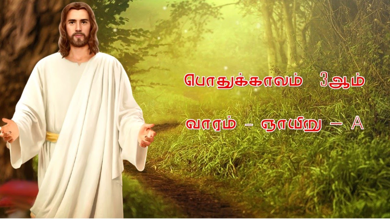 💚 திருப்பலி  (நேரலை) - பொதுக்காலம் 03ஆம் வாரம் - ஞாயிறு (இறைவாக்கு ஞாயிறு)-25 சனவரி 2026-காலை 09மணி