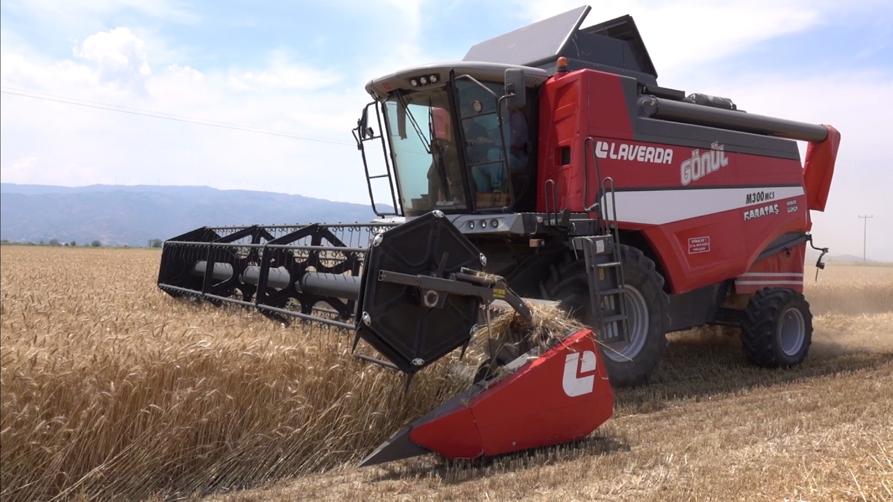 Buğday Hasadı - Laverda M300 MCS