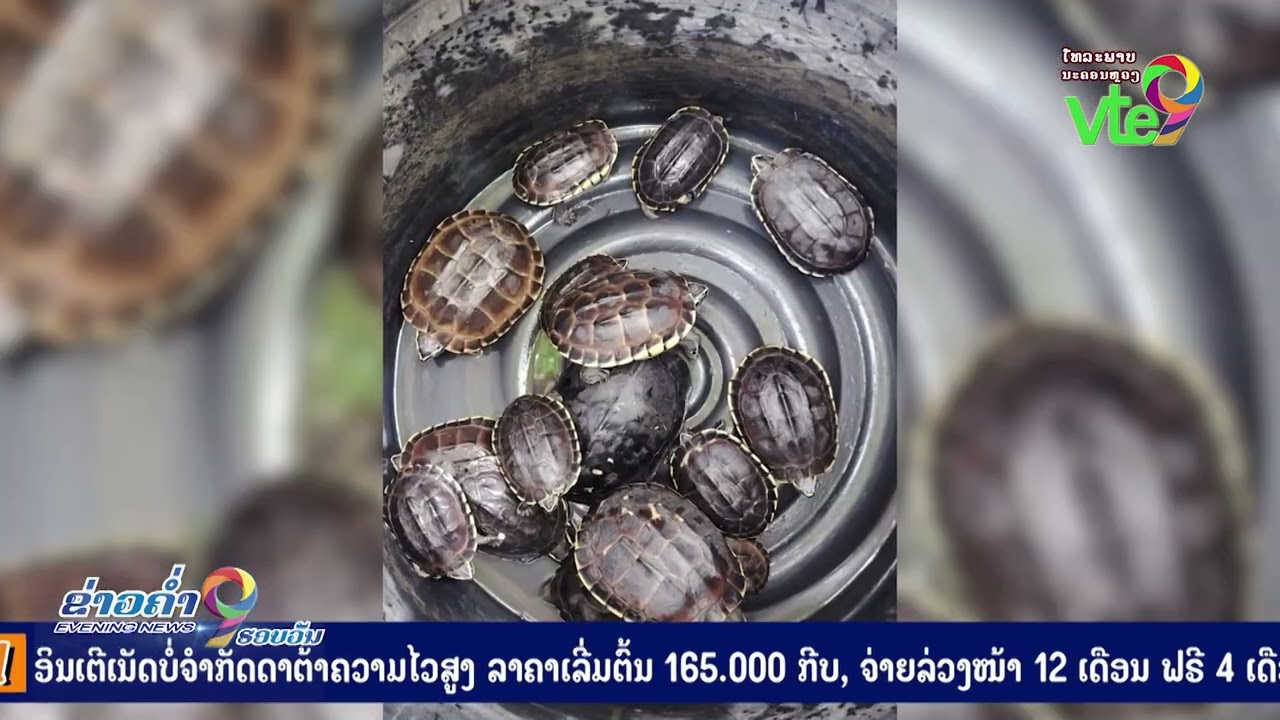 ສະເຫຼີມສະຫຼອງ ວັນອະນຸລັກສັດປ່າແຫ່ງຊາດ