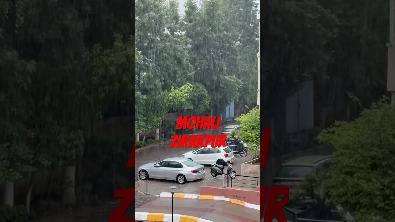 Heavy Rain | Today weather in Mohali | Punjab #viral #ytshorts #trending #rain #flood #shorts #yt