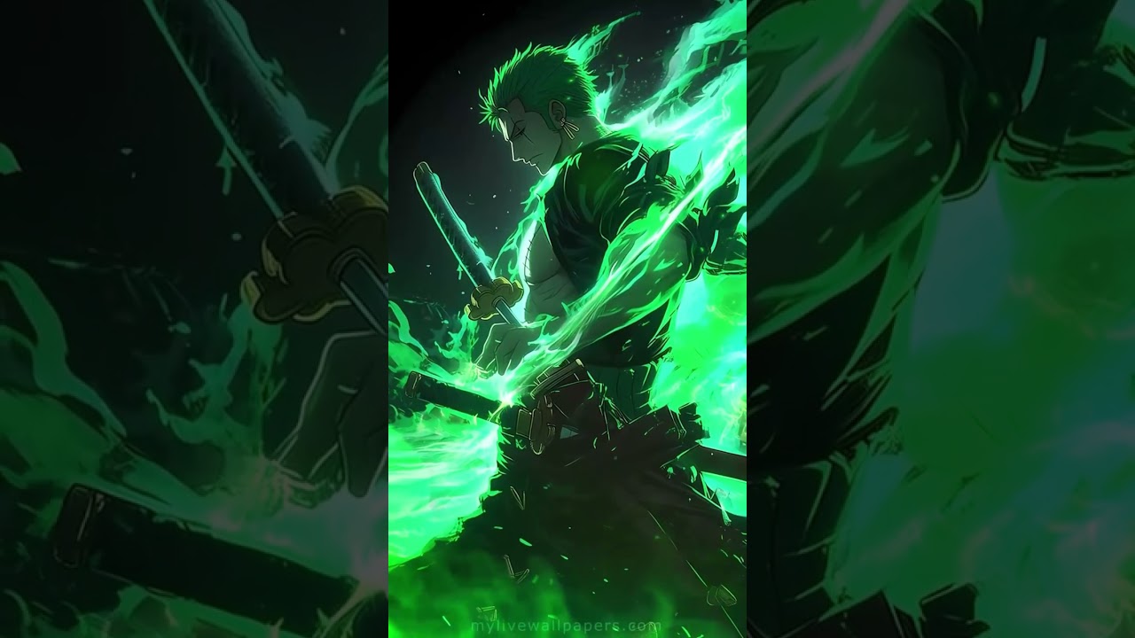 Três Espadas, Um Destino - Zoro