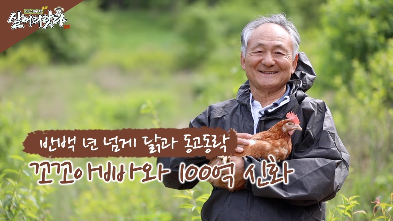 (경남 산청) 100억 신화, 15만평 양계장 부지, 아~
