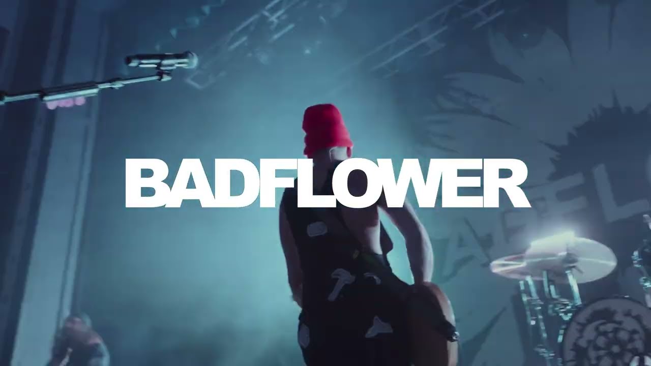 Badflower - 30 (Live in Pittsburgh, PA)