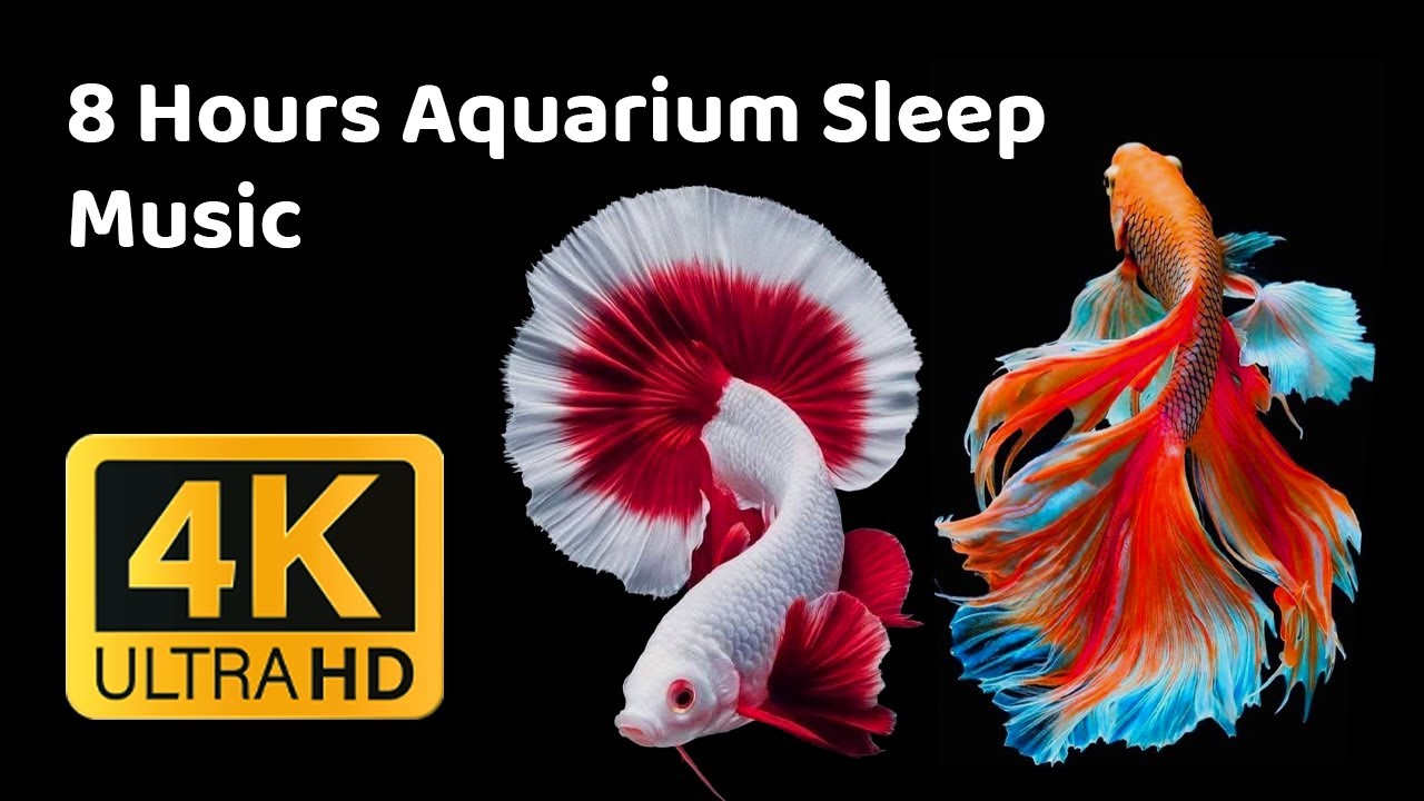 8 Hours Aquarium Sleep Music 🌊 Deep Relaxing Music for Sleep, Stress Relief & Anxiety