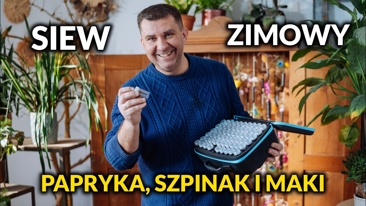 Super sposób na wysiew warzyw. Maki i ostróżeczki juz wysiane.