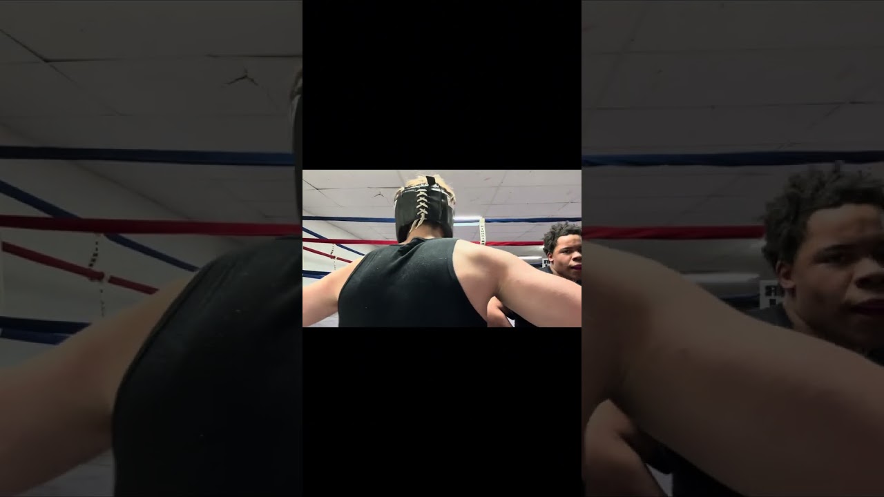 light sparring