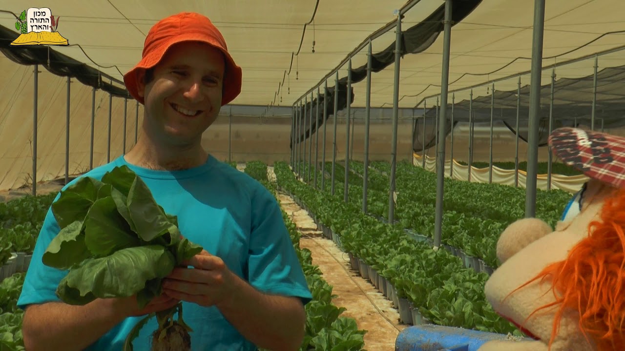 ירקות ללא חרקים בארצנו הקדושה | סדרה לילדים