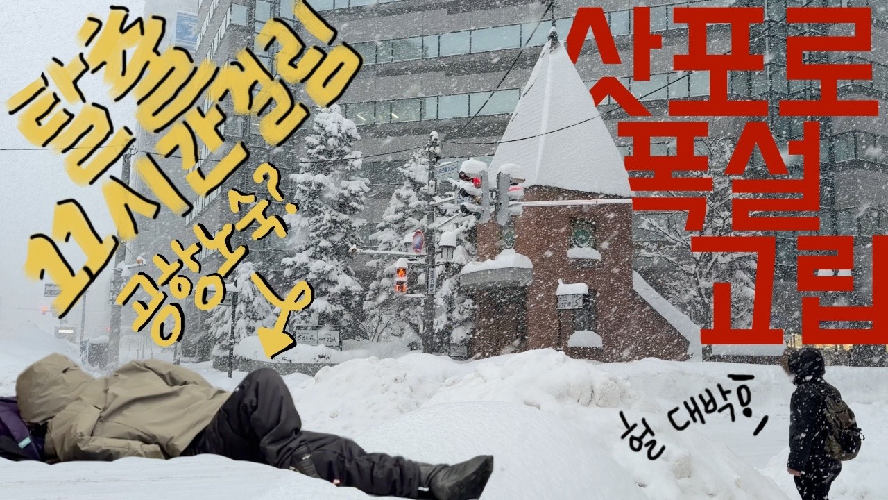 일본 여행 가서 공항 노숙해 본 사람? 삿포로 폭설 탈출 성공기