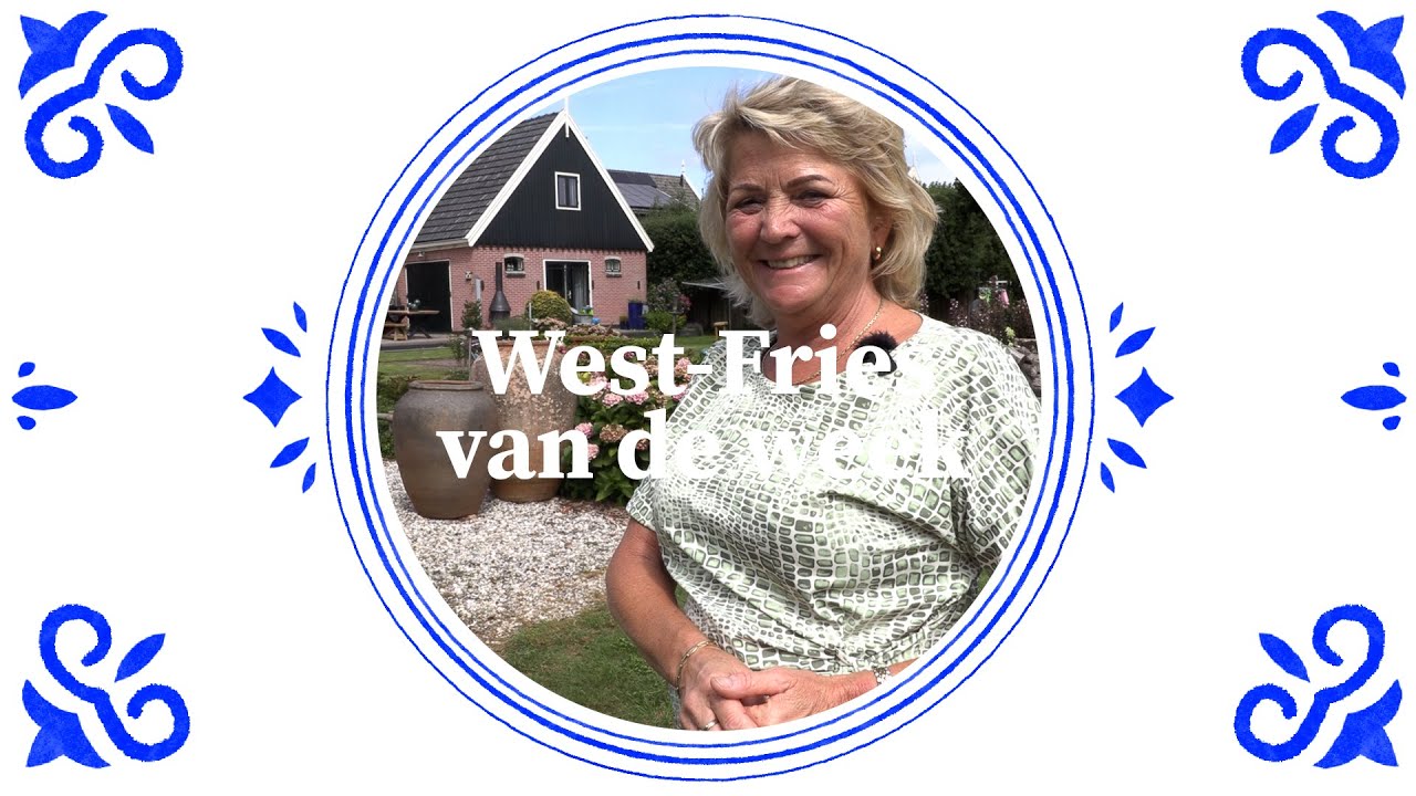 Westfries van de week - Wat is een skeip?