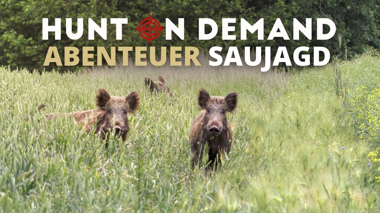 Abenteuer Saujagd &ndash; Hunt on Demand Sauen FREE EPISODE