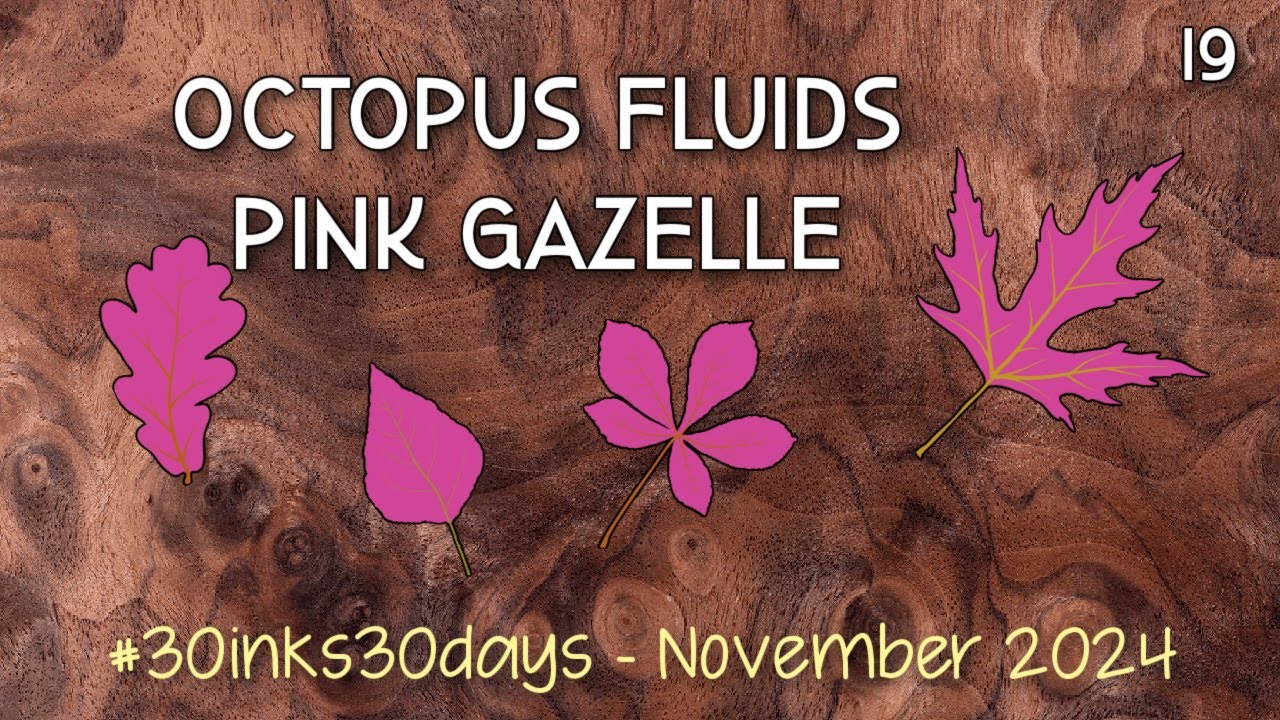 19 Octopus Fluids Write & Draw Pink Gazelle | 