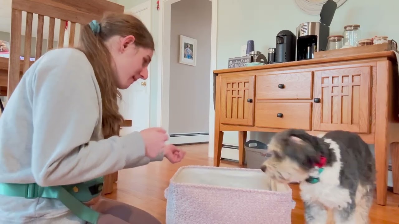 ROSIE TRICKS